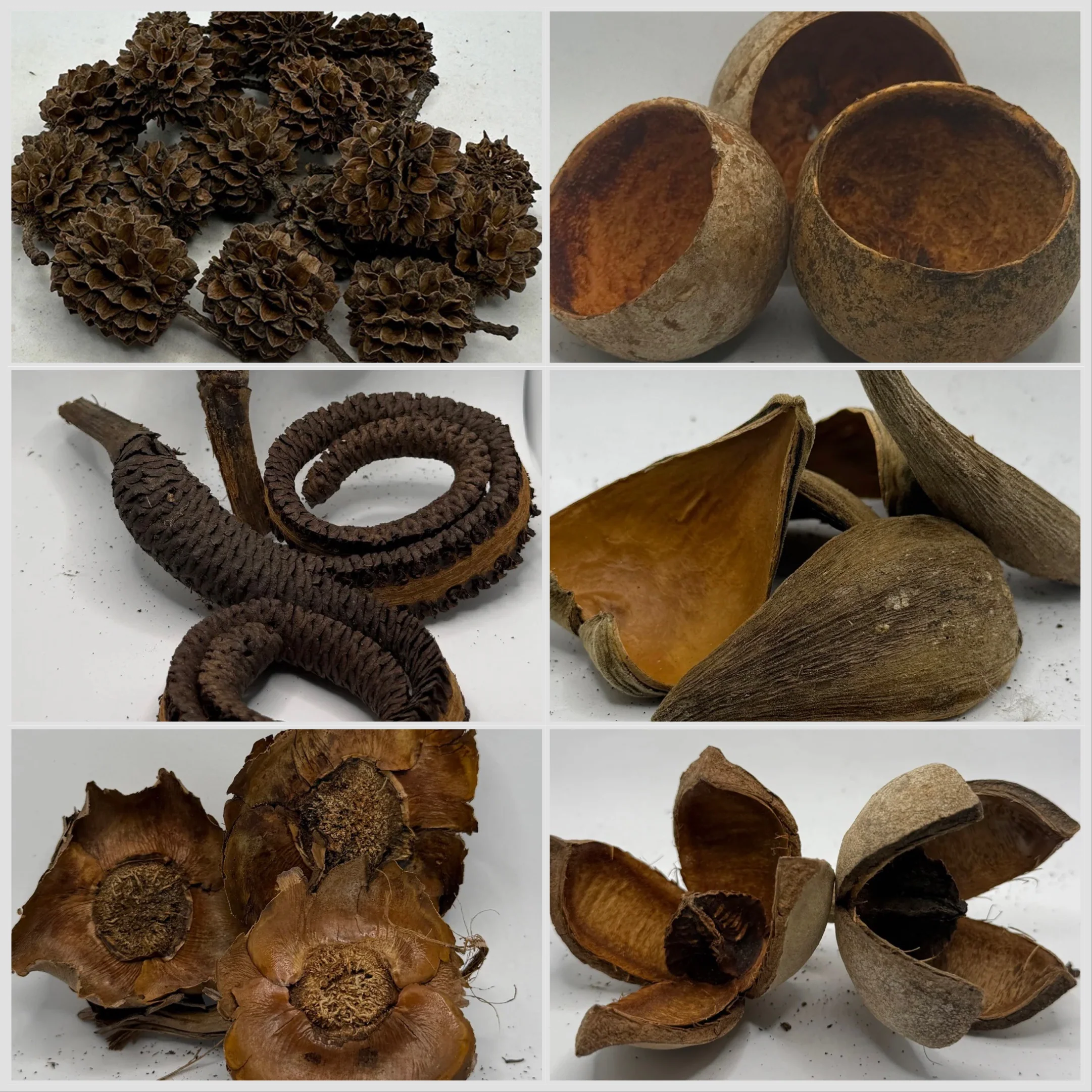 Daku Bestsellers